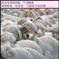 095期今日闲情：这里有一只披着羊皮的狼 .....