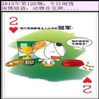 120期今日闲情：动物扑克牌.....