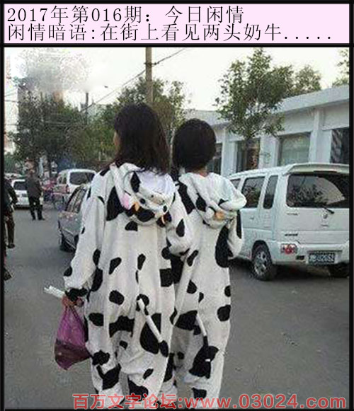 016期今日闲情：在街上看见两头奶牛.....