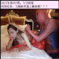 037期今日闲情：当蜘蛛侠遇上蜘蛛精？？？