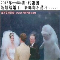 084期蛇蛋图：新娘结婚了，新郎却不是我.....